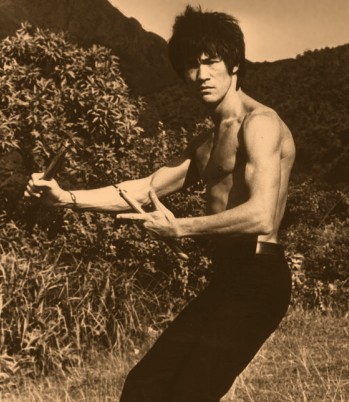 Bruce Lee podczas treningu