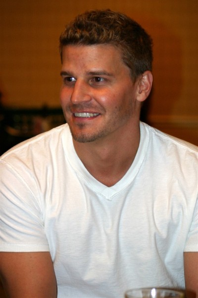 David Boreanaz